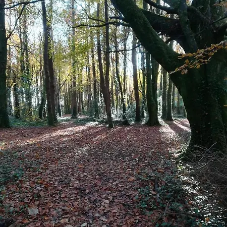 Greenacres